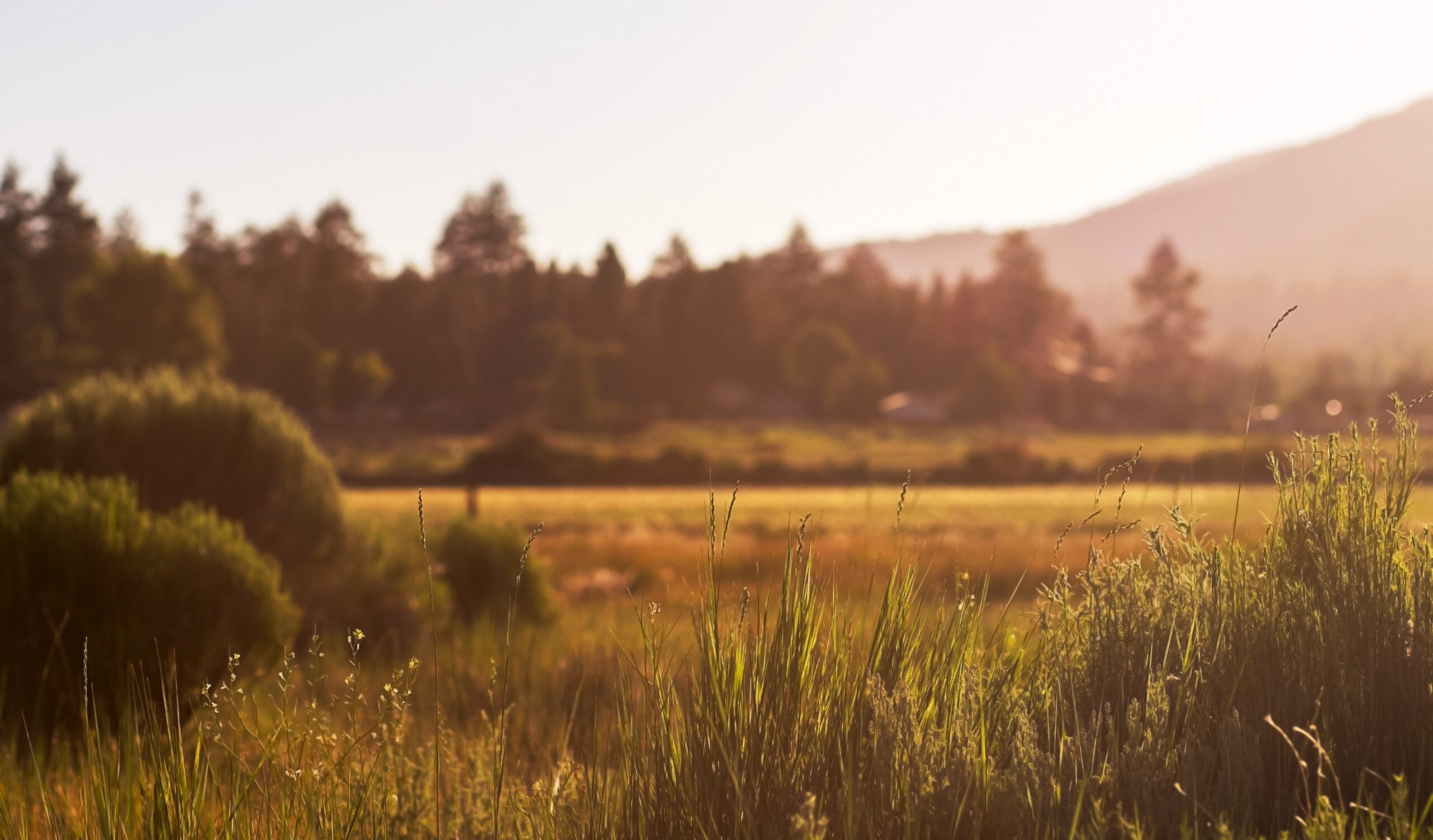 Big Bear Valley